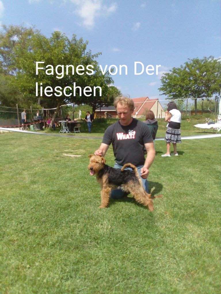 CH. Fagnes von der lieschen